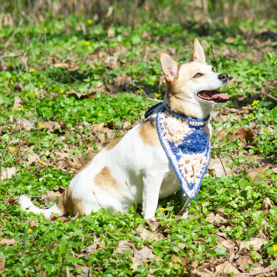 

Gina - Bandana para perros
2