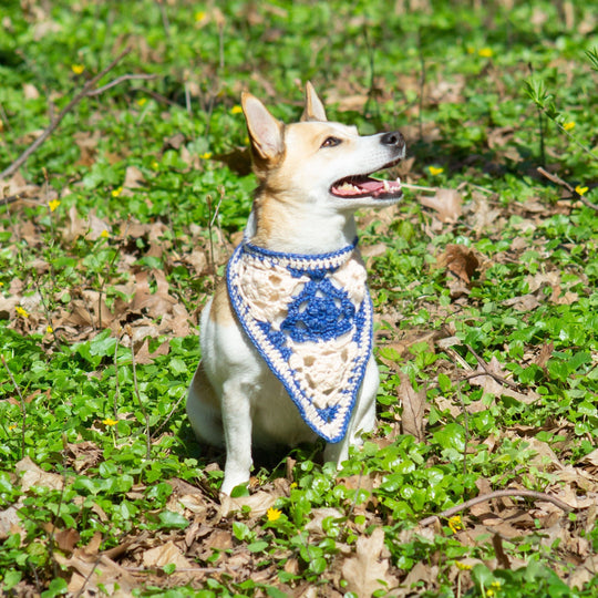 Gina - Bandana para perros