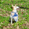 

Gina - Bandana para perros
1