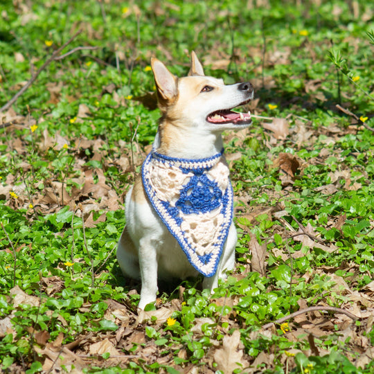 Gina - Bandana para perros