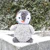

Pingüino Pippo
1