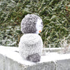 

Pingüino Pippo
3