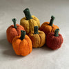 

Mini calabazas - Pequeñas calabazas decorativas
7