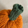 

Mini calabazas - Pequeñas calabazas decorativas
4