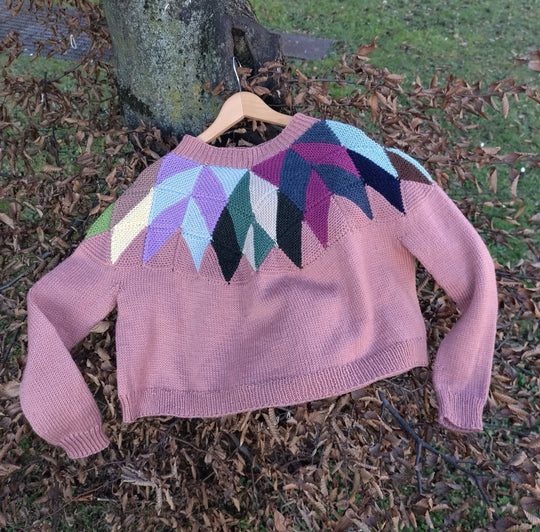 Intarsia - Jersey