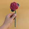 

Rosa
1