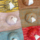 panettone-1-1-picture-katrina--swatches-1.jpg