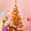 

Citrus - Ornamento
4