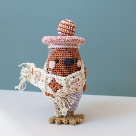 

3ro domingo de Adviento - Amigurumi - Grayson Robin
1