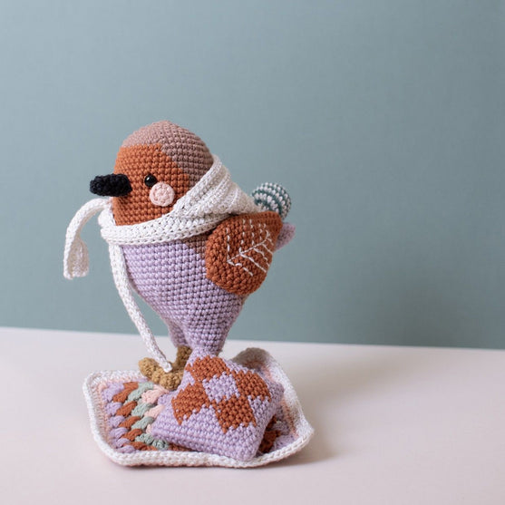 

3ro domingo de Adviento - Amigurumi - Grayson Robin
6