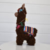 

La alpaca Pico
4