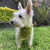 

Cuddly Wrap - Bandana para perros
4