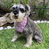 

Cuddly Wrap - Bandana para perros
1