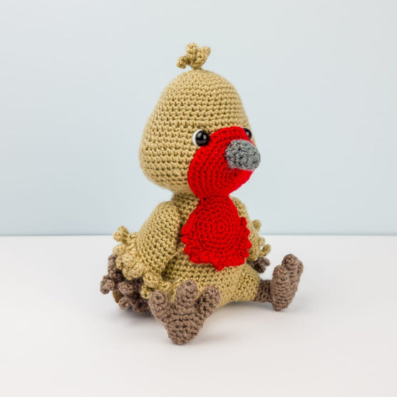 

El Petirrojo Ruddock
3