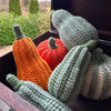 

Calabazas de Decoración - Larga
1