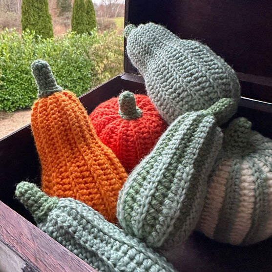 

Calabazas de Decoración - Larga
1
