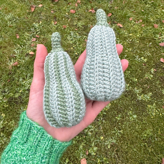 

Calabazas de Decoración - Larga
6
