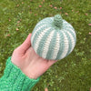 

Calabaza de Decoración– Redondo
7