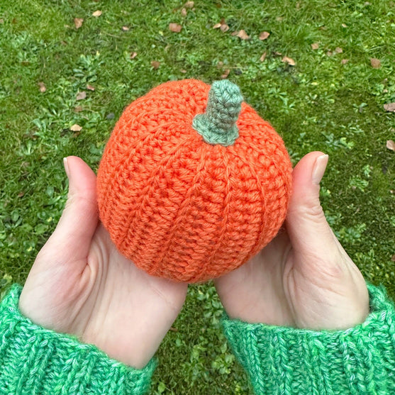 

Calabaza de Decoración– Redondo
5