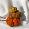

Calabazas Tweedy
3