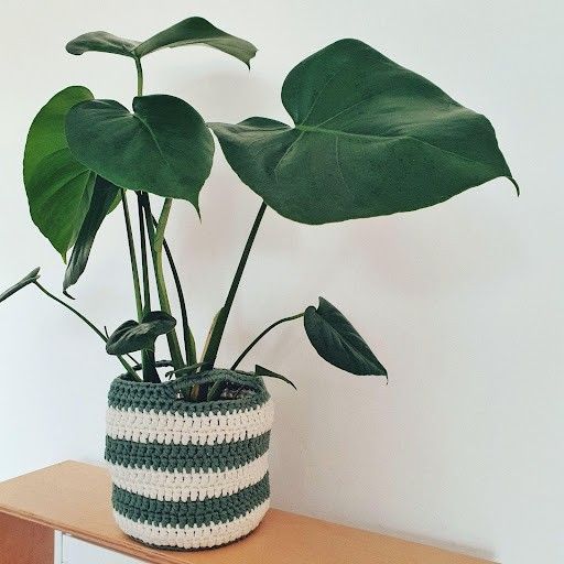 

June - Cesta para plantas
1